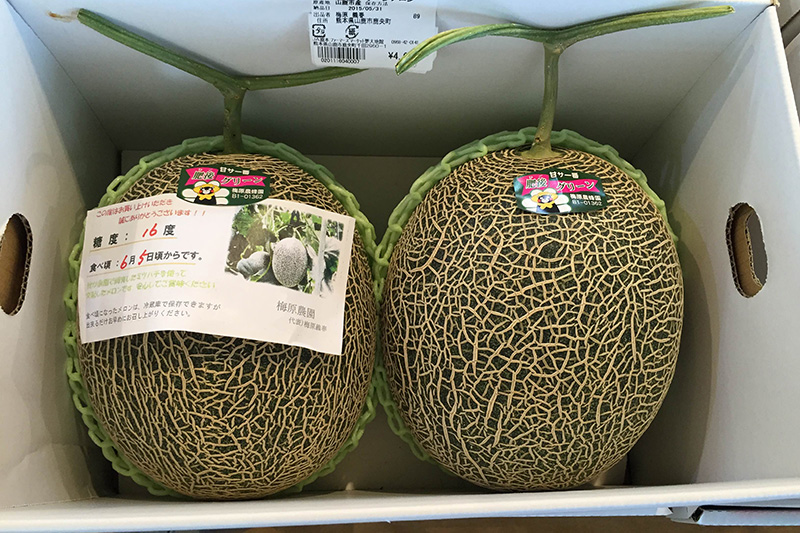 肥後グリーン